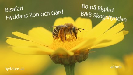Entré